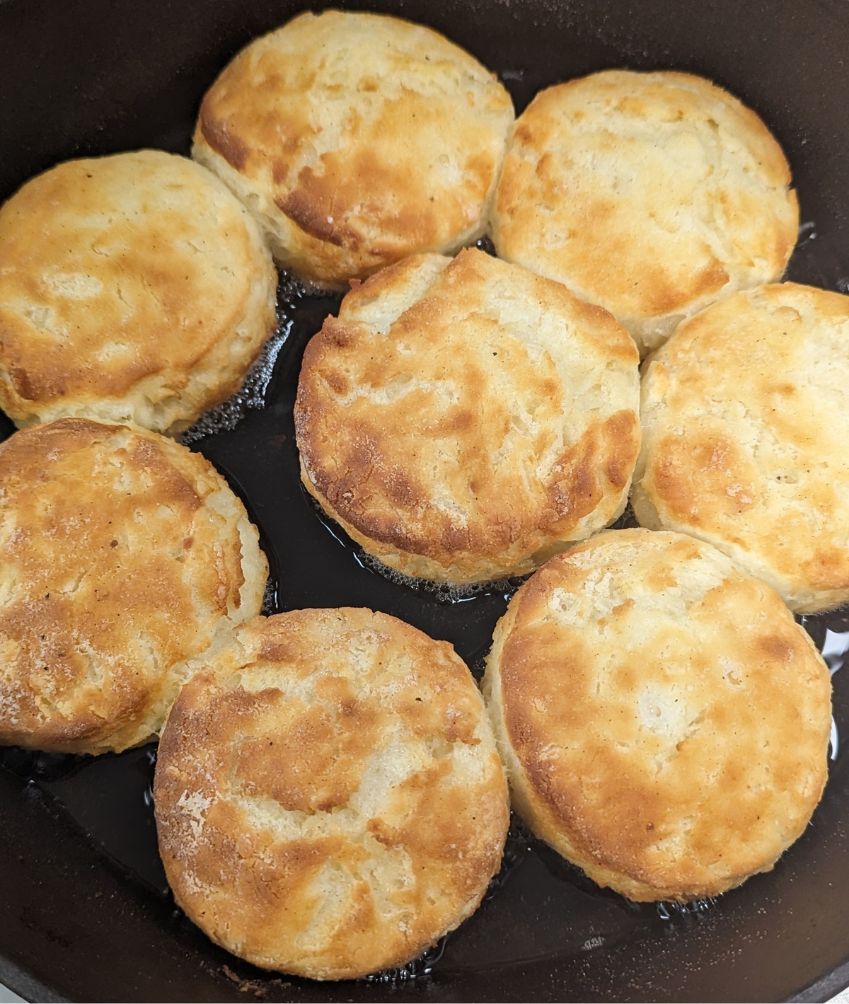 Frozen Gluten-Free Take & Bake Biscuits — Johnson City Pickup
